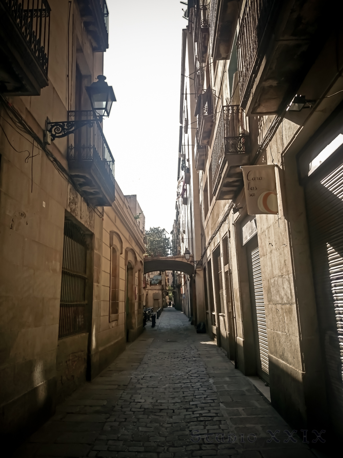 Studio-XXIX_02453