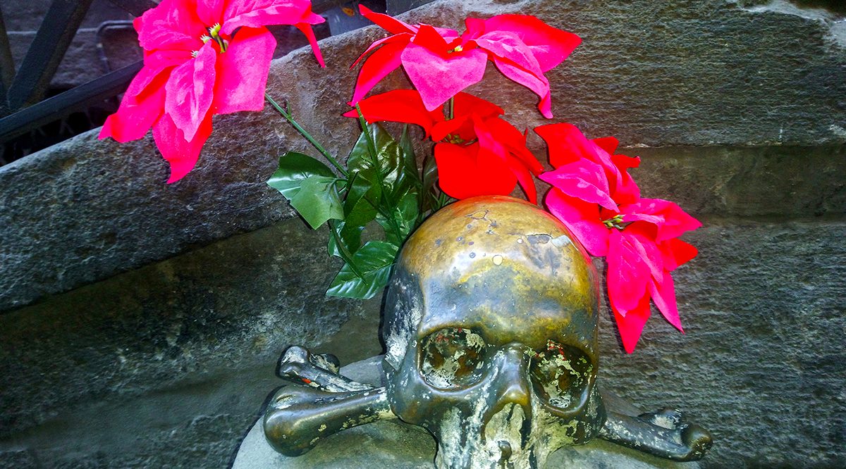 L'immortale Musa Napolitana