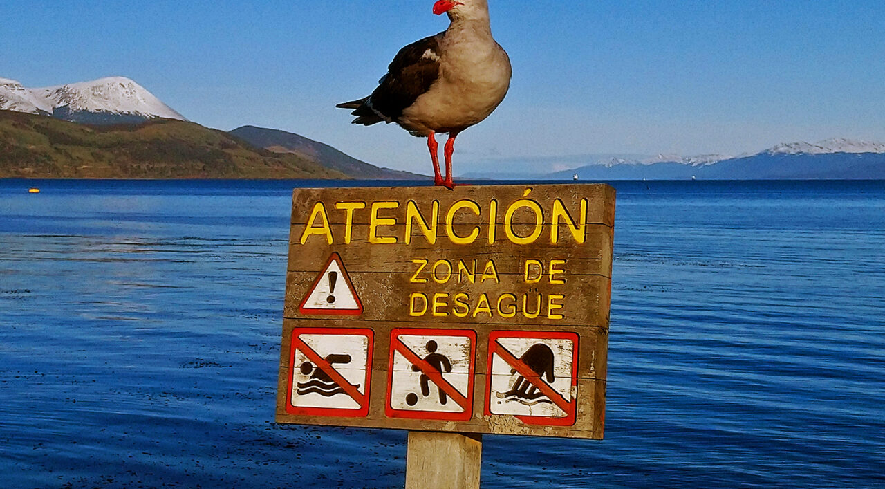 Serendipity's Sweet Abyss Serendipity's Sweet Abyss