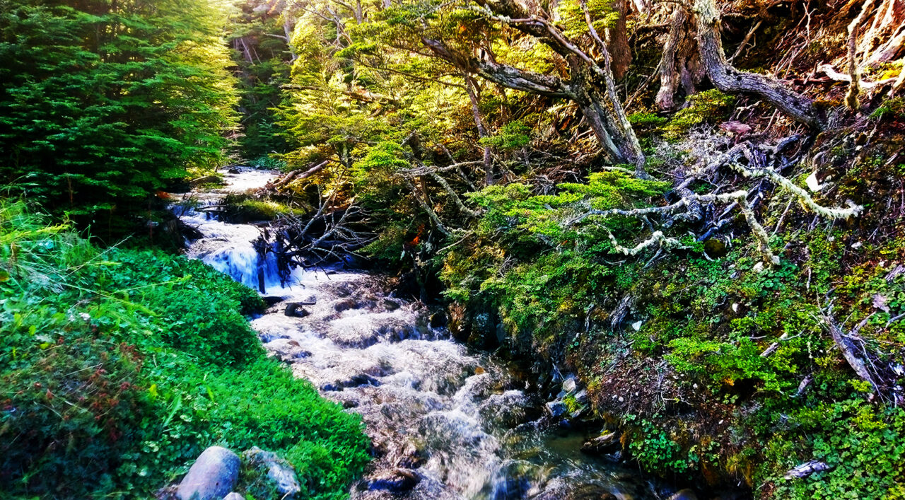 Serendipity's Sweet Abyss Serendipity's Sweet Abyss