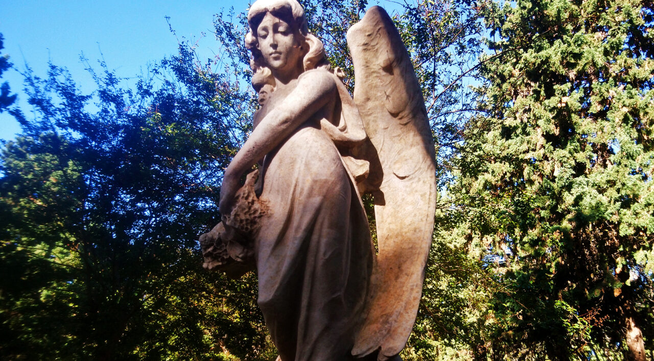 Serendipity's Sweet Abyss Serendipity's Sweet Abyss