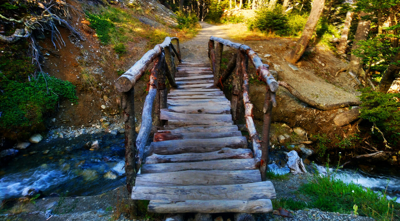 Serendipity's Sweet Abyss Serendipity's Sweet Abyss