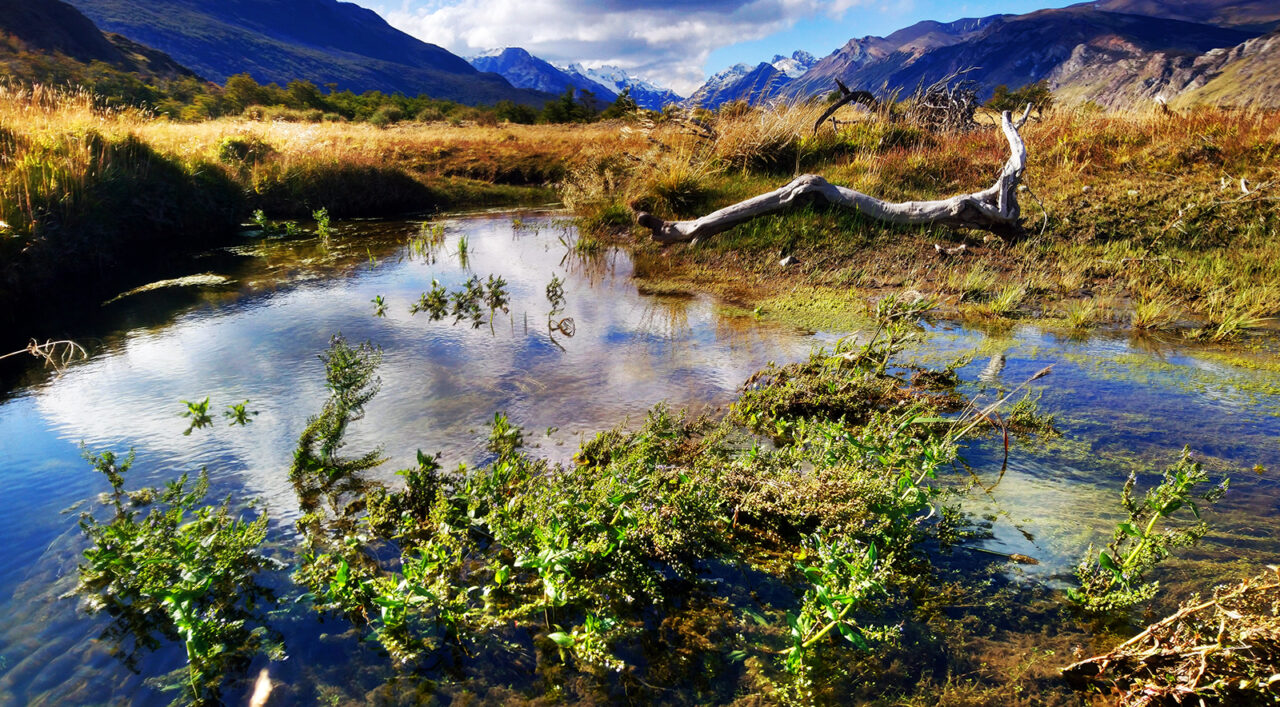 Serendipity's Sweet Abyss Serendipity's Sweet Abyss