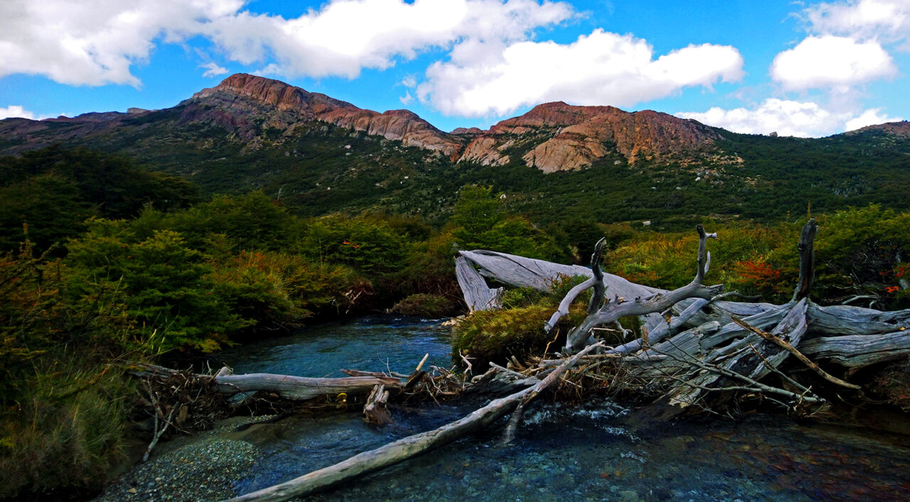 Serendipity's Sweet Abyss Serendipity's Sweet Abyss