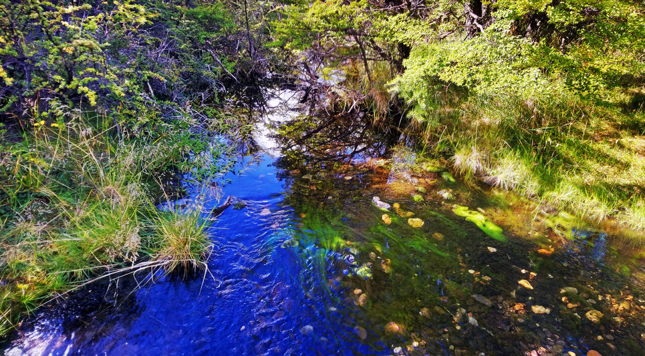 Serendipity's Sweet Abyss Serendipity's Sweet Abyss