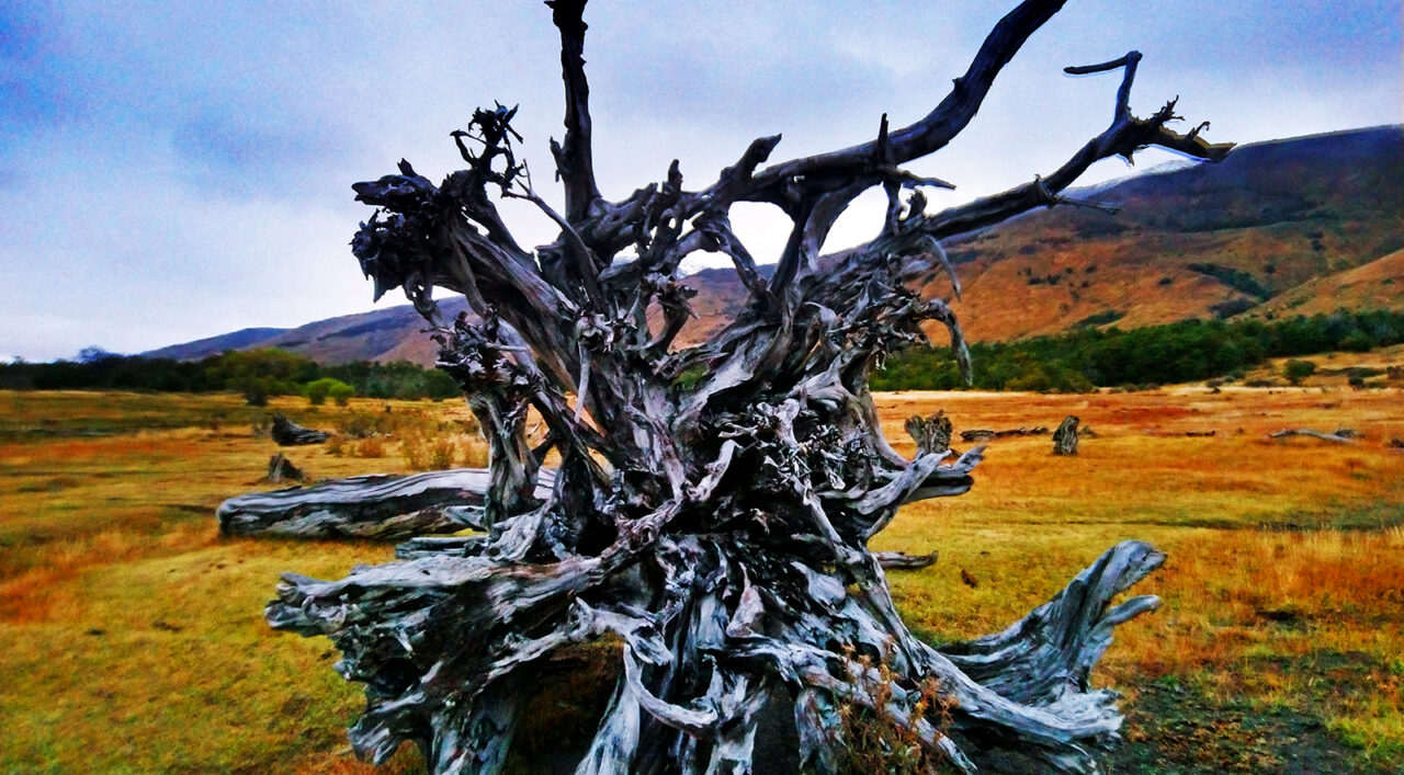 Serendipity's Sweet Abyss Serendipity's Sweet Abyss