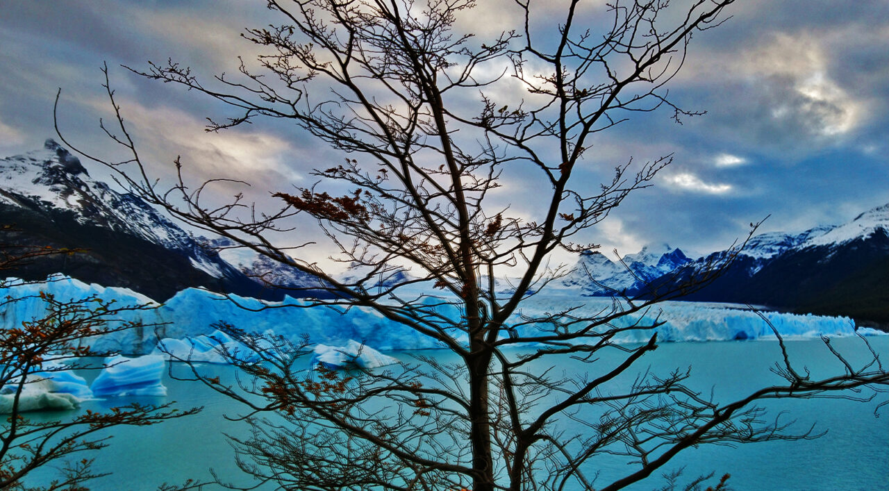 Serendipity's Sweet Abyss Serendipity's Sweet Abyss