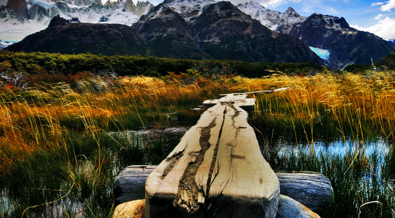 Serendipity's Sweet Abyss Serendipity's Sweet Abyss