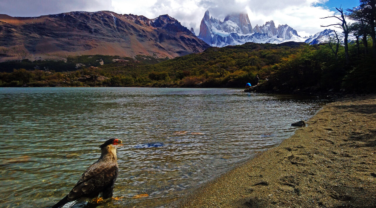 Serendipity's Sweet Abyss Serendipity's Sweet Abyss